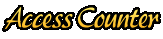 Access Counter