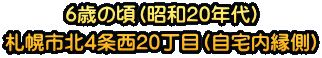 6�΂̍��i���a20�N��j �D�y�s�k4��20���ځi����������j
