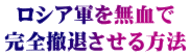 ���V�A�R�𖳌��� ���S�P�ނ�������@