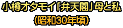 ���M�I�^���C�u�ٓV�t�v��Ǝ� �i���a30�N���j
